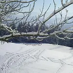 Allgaeu