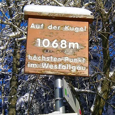 Allgaeu 호텔 마이어호펜
