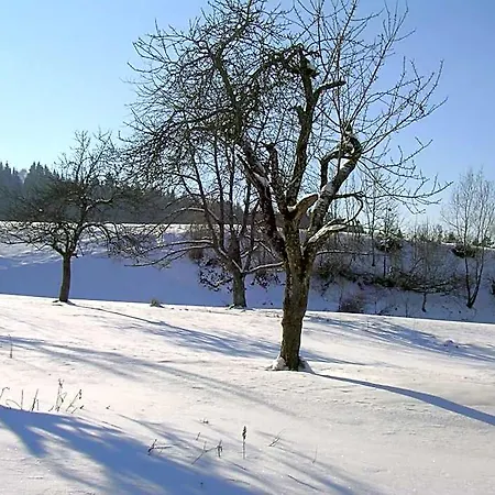 호텔 Allgaeu