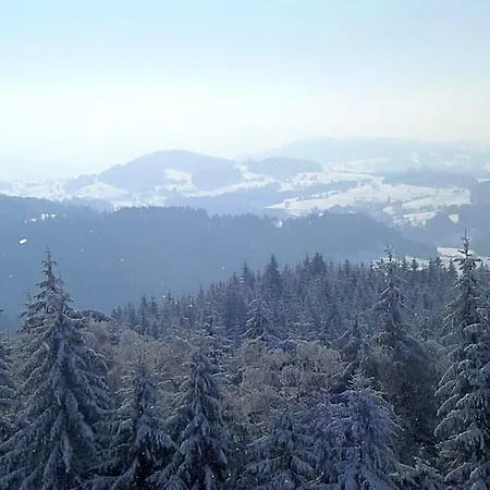 Allgaeu 3* 마이어호펜