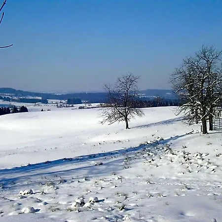 Allgaeu 3* 마이어호펜