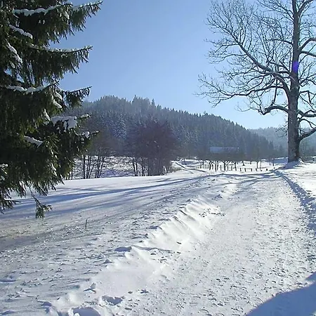 호텔 Allgaeu 마이어호펜