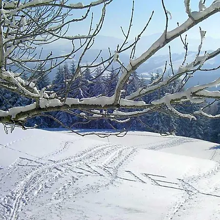 Allgaeu 호텔 마이어호펜