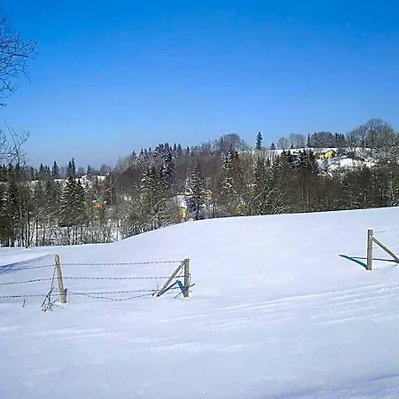 Allgaeu 호텔 3*