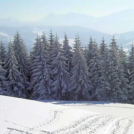 호텔 Allgaeu