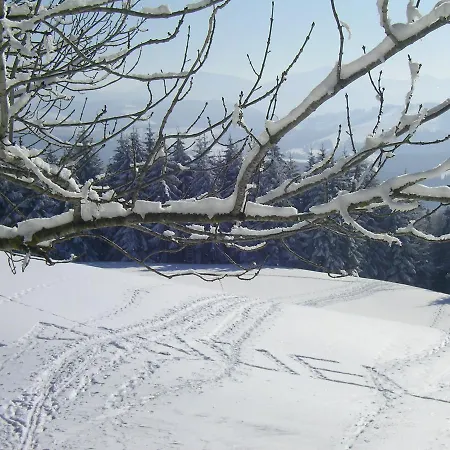 Allgaeu