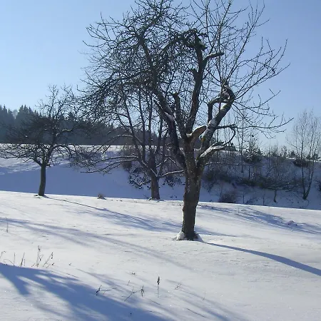 Hotel Allgaeu 3*