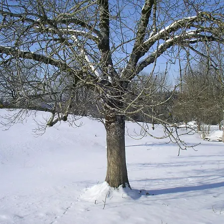 Allgaeu Szálloda