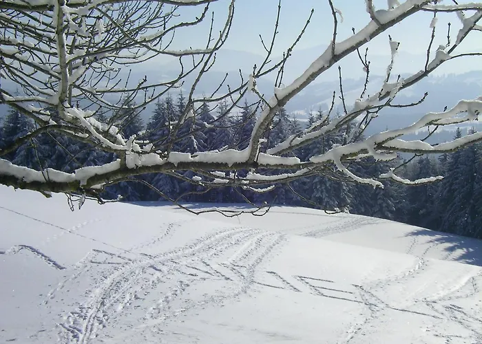 Allgaeu