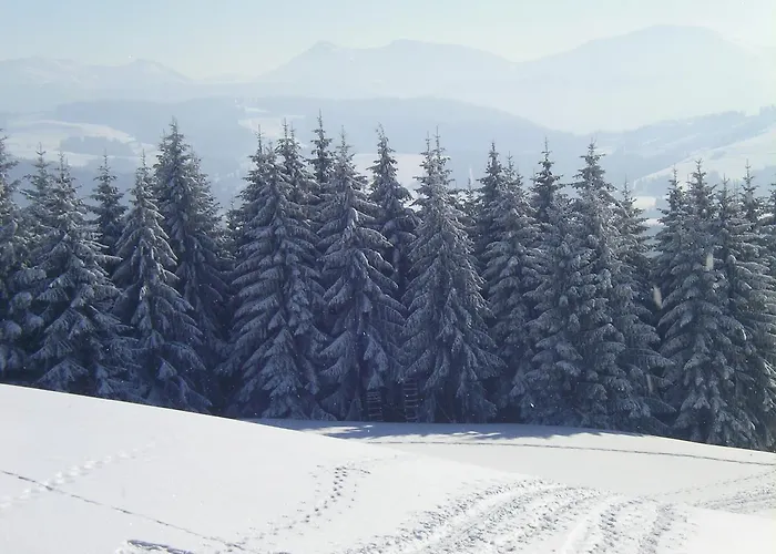 Allgaeu Maierhöfen